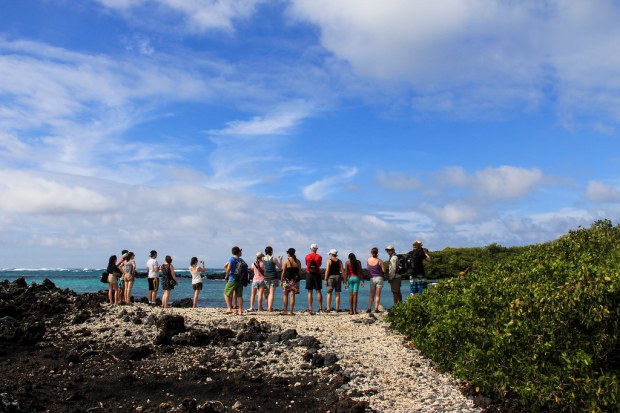 Isabella - Galapagos (11)