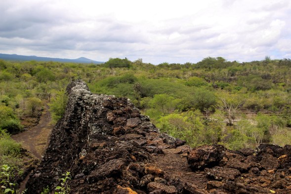 Isabella - Galapagos (52)