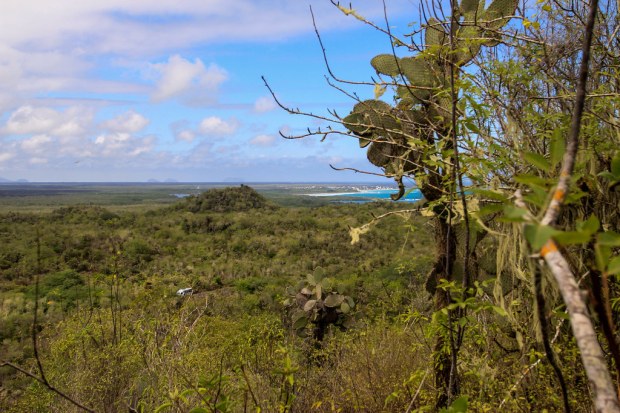 Isabella - Galapagos (53)