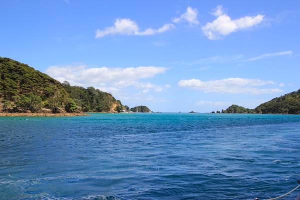 Bay of Islands 4