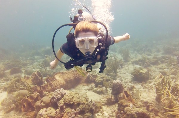 Diving, Tobago