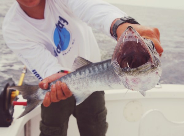 Hard Play Fishing- Tobago