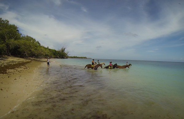 Healing with Horses, Tobago