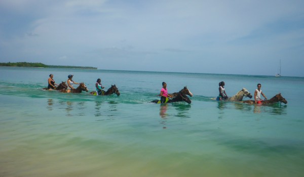 Healing with Horses, Tobago