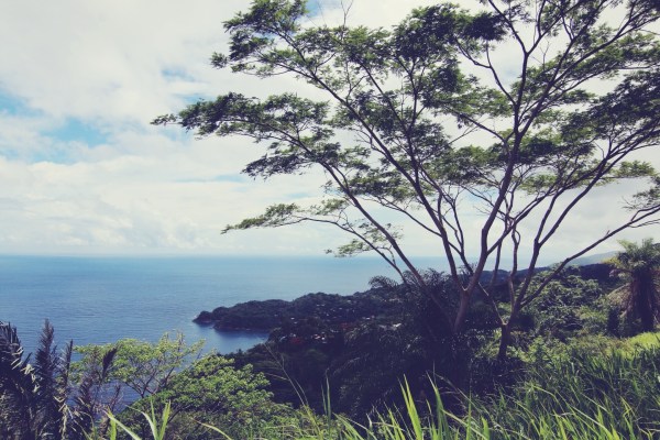 Island Tour | Tobago