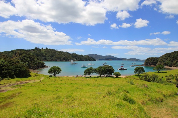 Moturua Island Bay of Islands 3