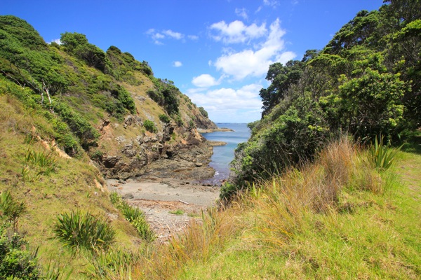 Moturua Island Bay of Islands 6