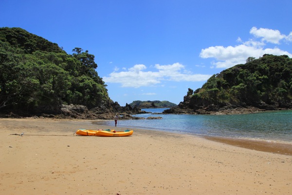 Moturua Island Bay of Islands