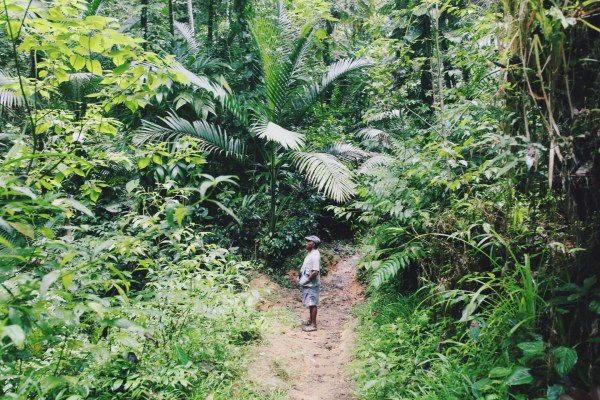 Newton George, Bird Watching, Tobago