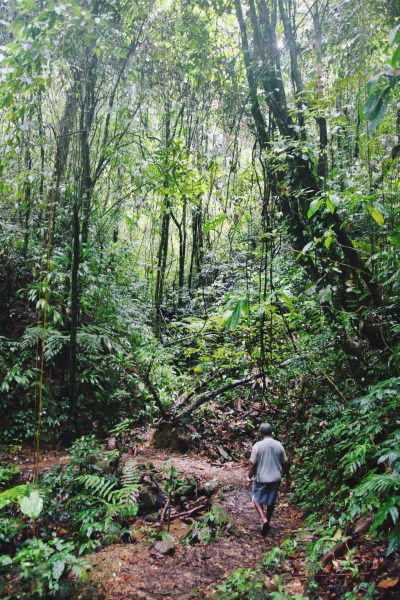 Newton George, Bird Watching, Tobago