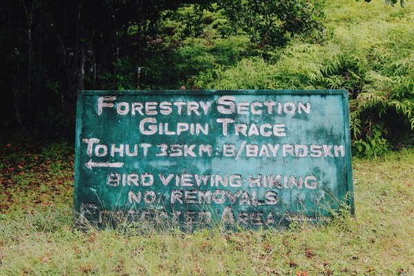 Newton George, Bird Watching, Tobago