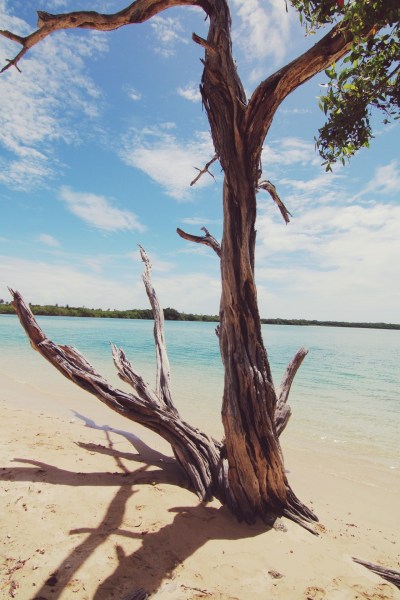 No Man's Land, Tobago