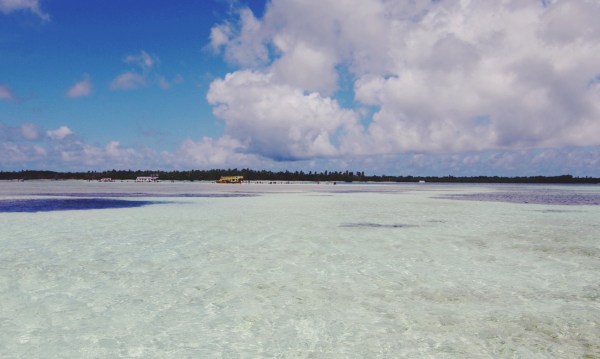 Nylon Pool, Tobago