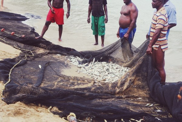 Seine Nets - Castara, Tobago