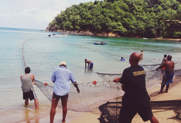 Seine Nets - Castara, Tobago