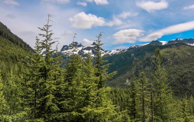 Sky Pilot- Sea-to-Sky Gondola, Squamish BC