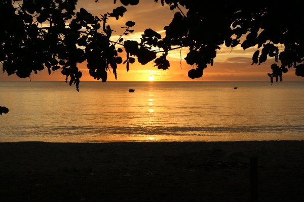 Turtle Beach | Tobago